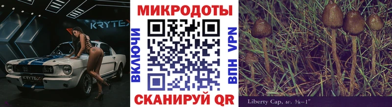 магазин продажи   Ельня  Галлюциногенные грибы мицелий 